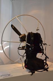 Nicolas Eggert R&uuml;ckenmotorsystem