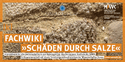 Fachwiki ''Sch&auml;den durch Salze''