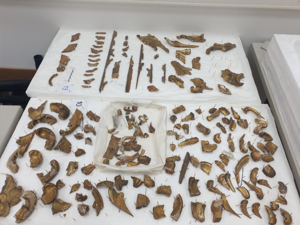 Emelie Hippmann Rokoko 1